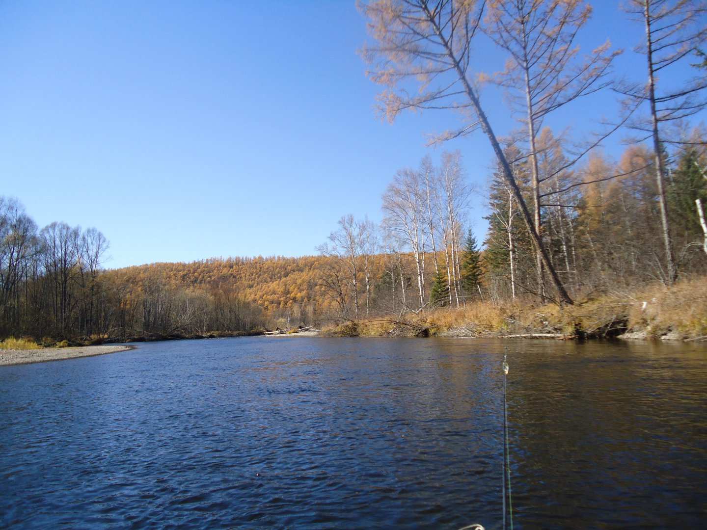 DSC02285.JPG