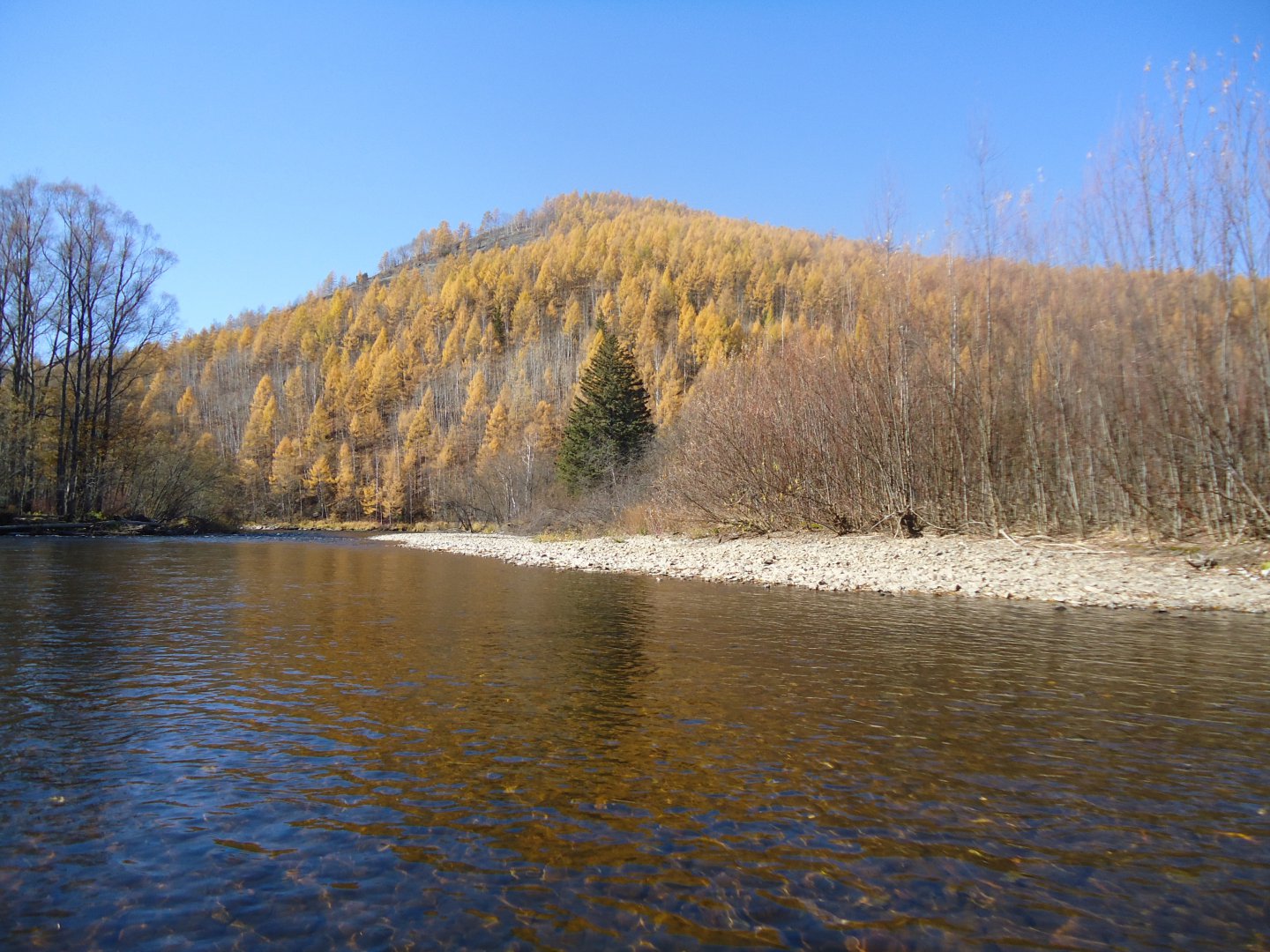 DSC02303.JPG