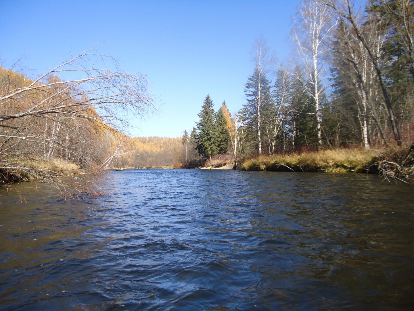 DSC02306.JPG