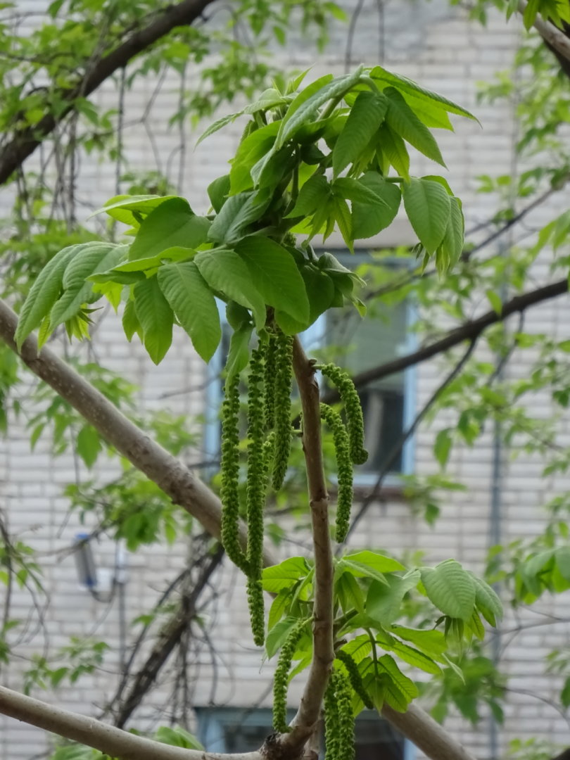 DSC02352.jpg