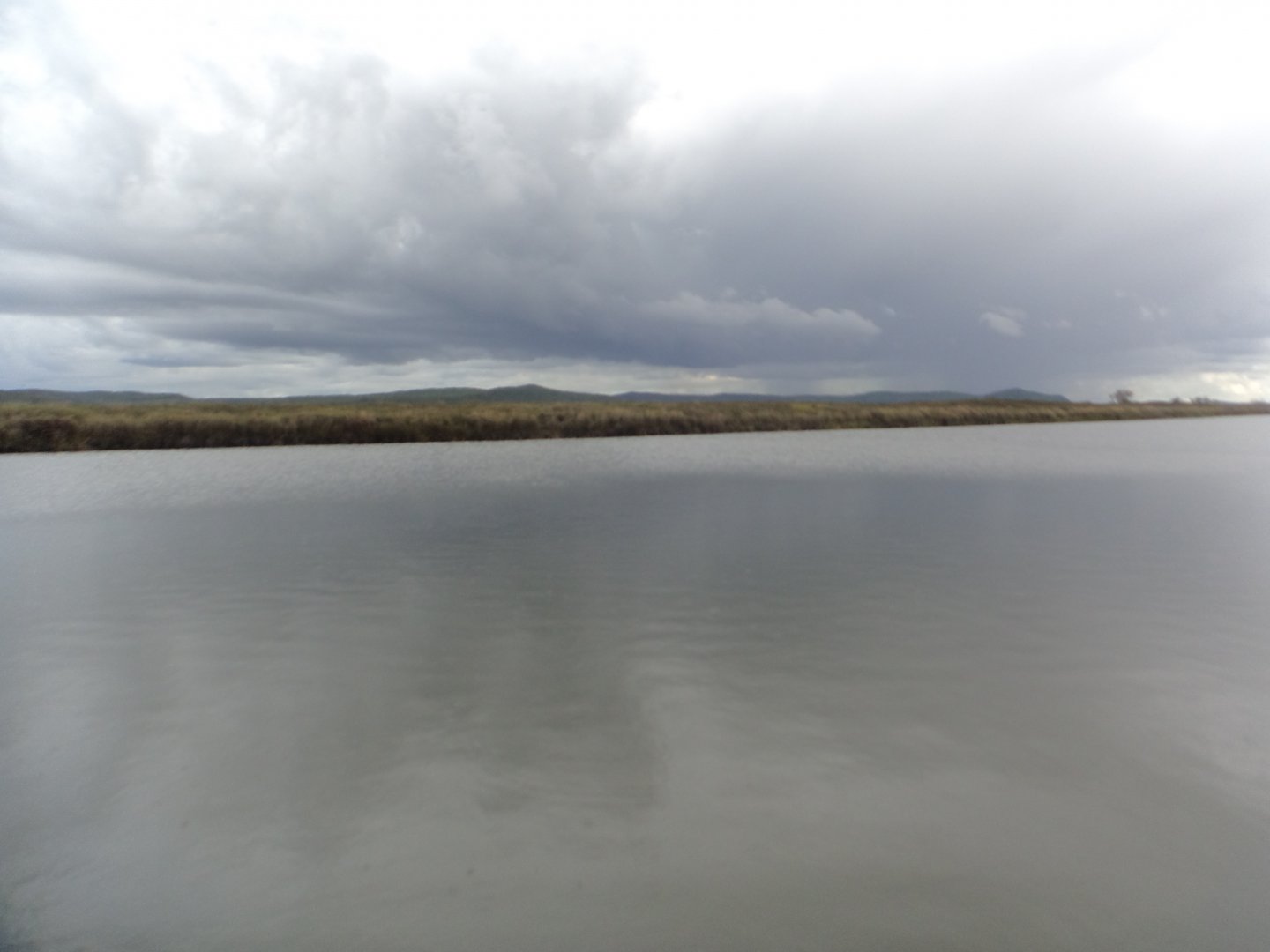DSC02450.JPG
