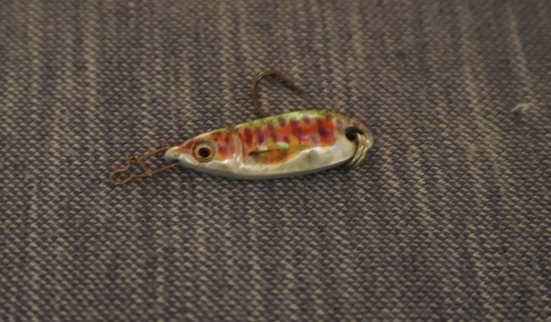 DSC02477.JPG