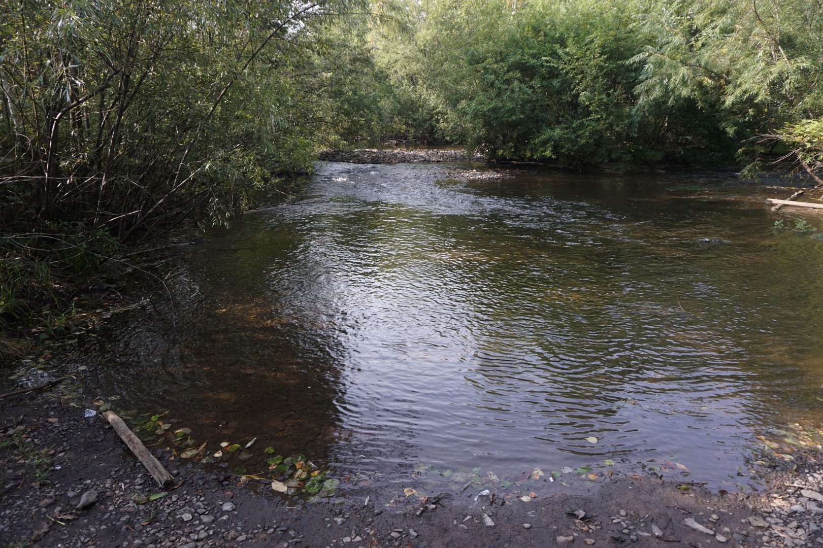 DSC02480.JPG