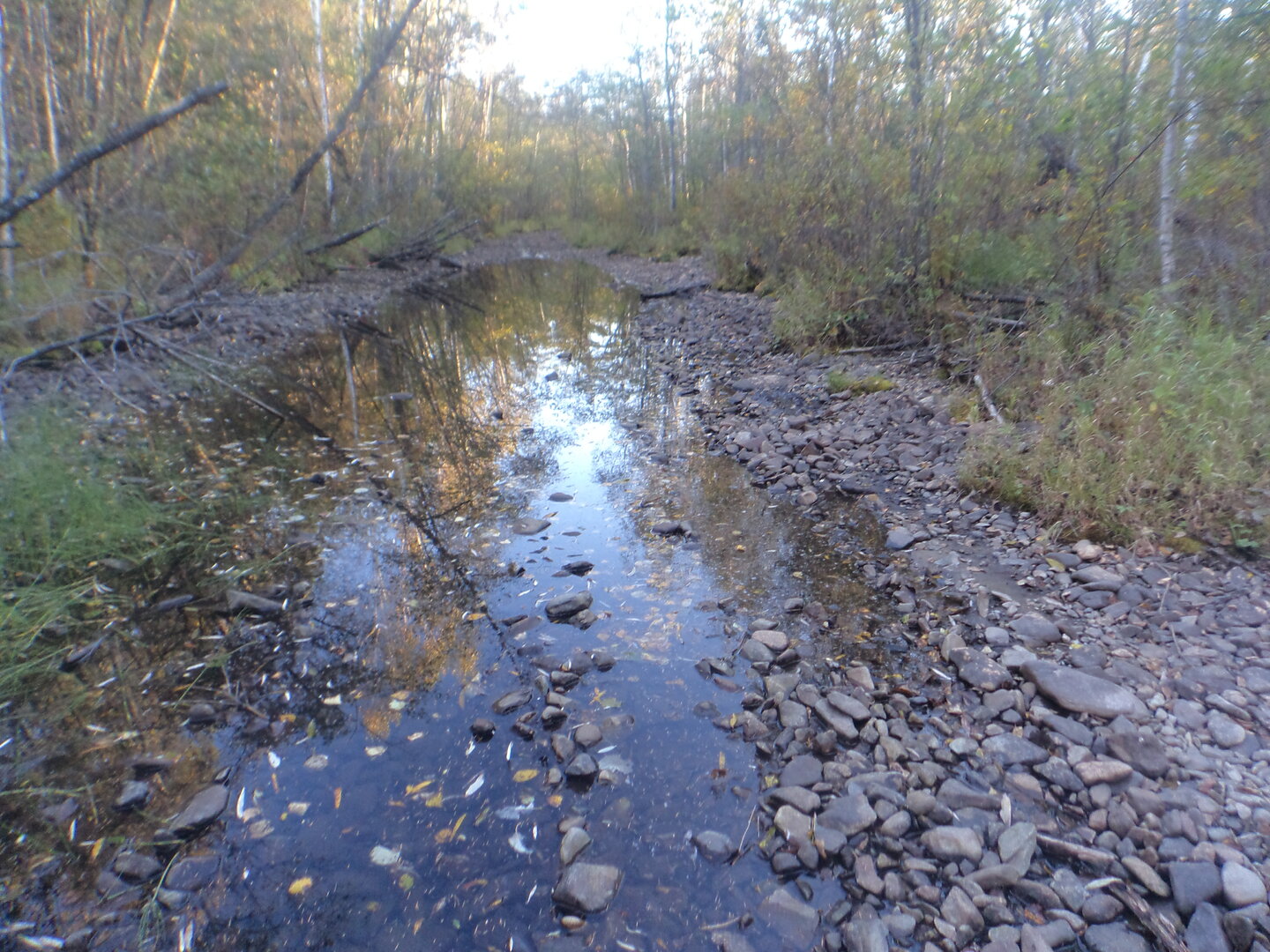 DSC02489.JPG