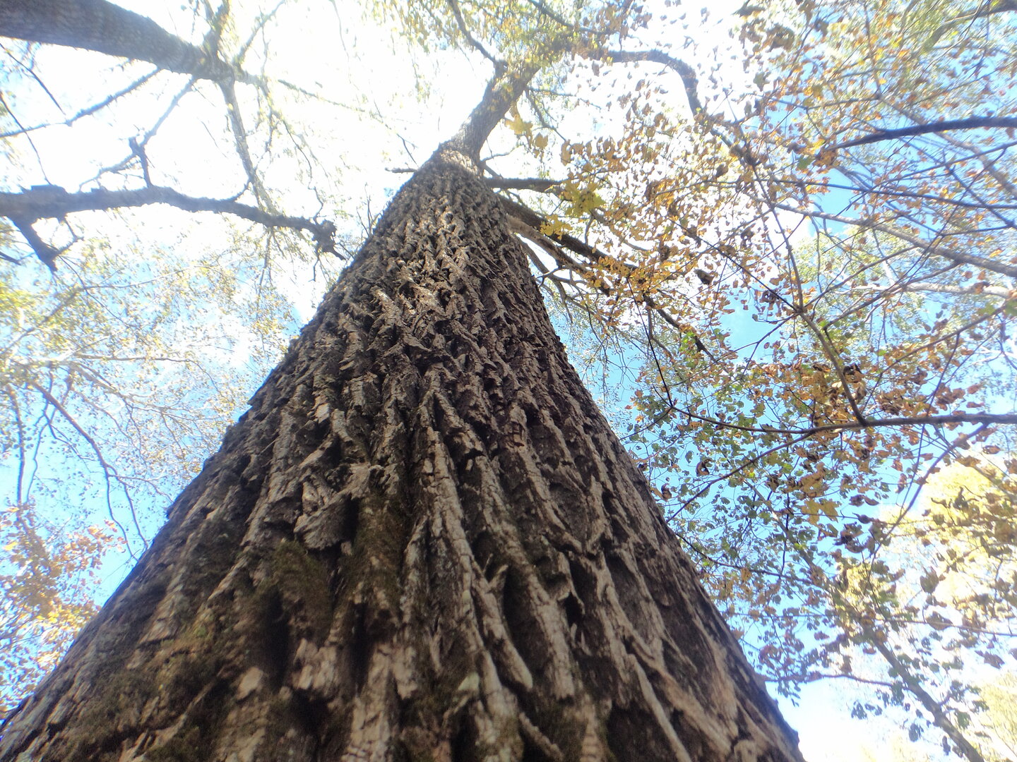 DSC02494.JPG