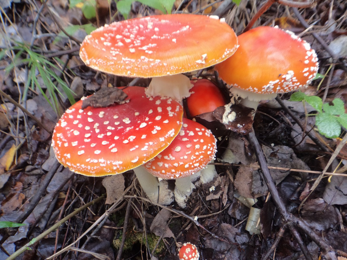 DSC02509.JPG