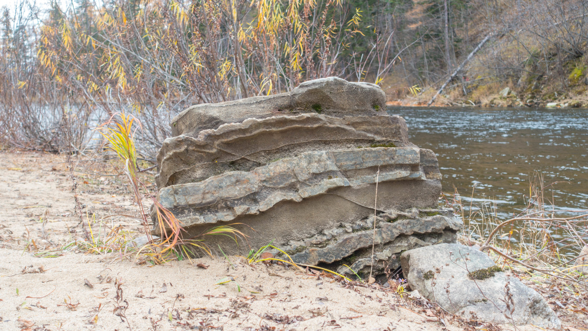 DSC02514.jpg