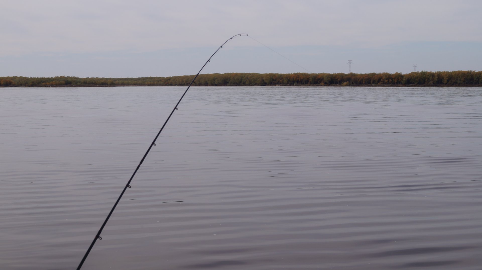 DSC02538.JPG
