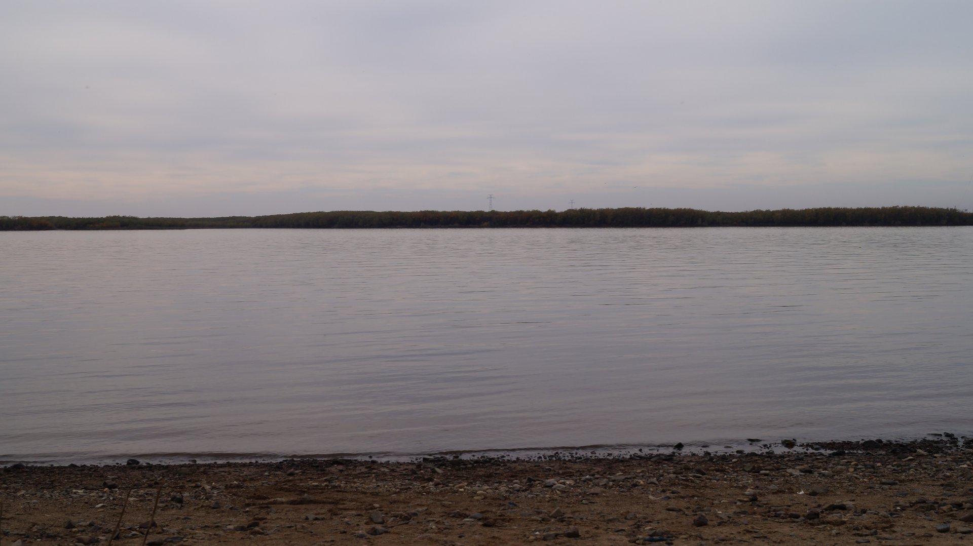 DSC02542.JPG