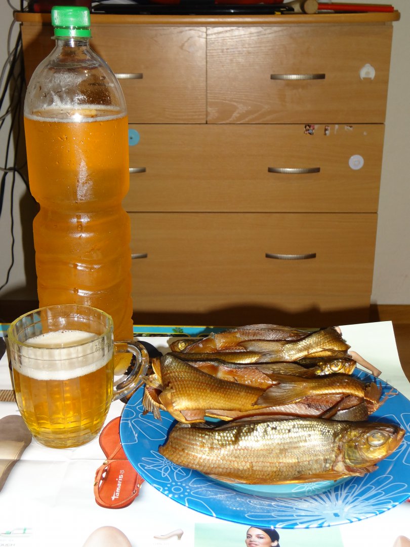 DSC02574.JPG