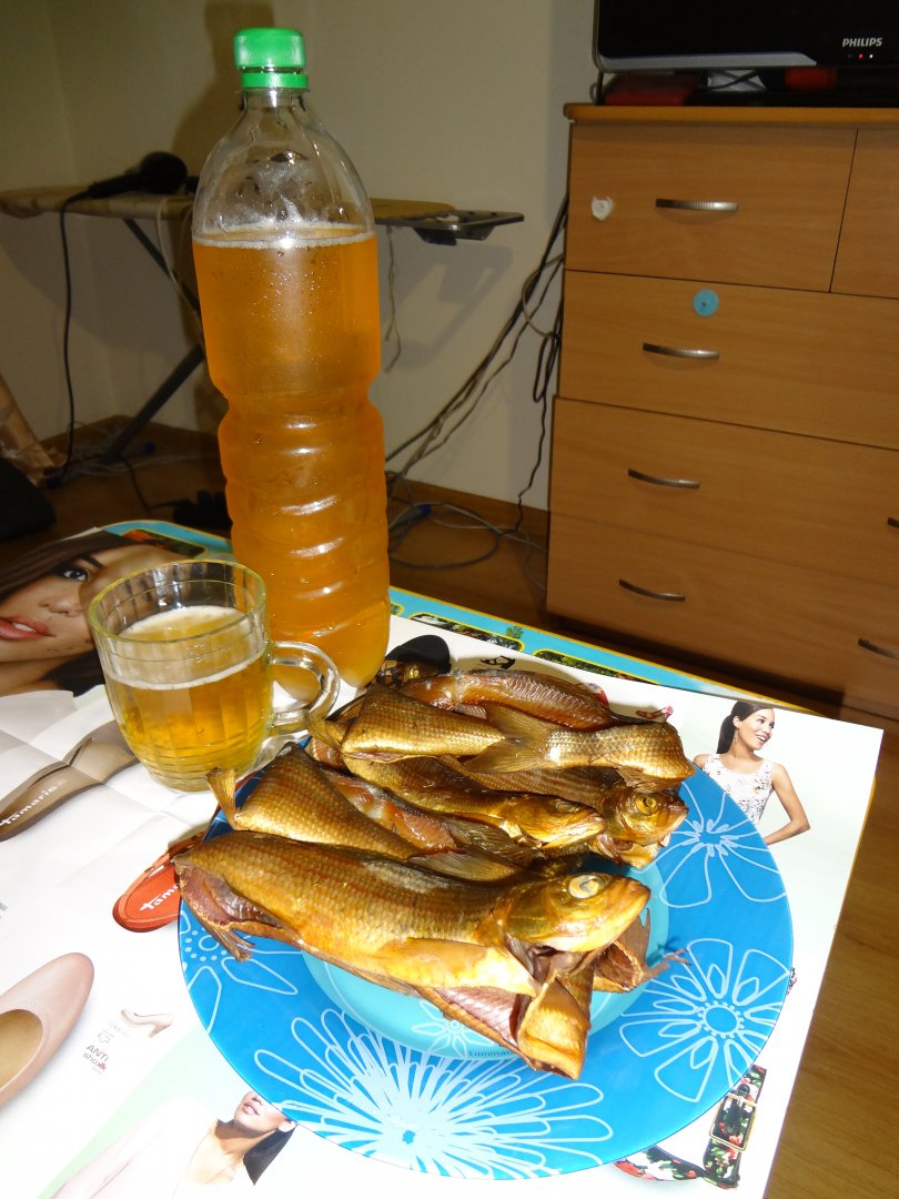 DSC02579.JPG