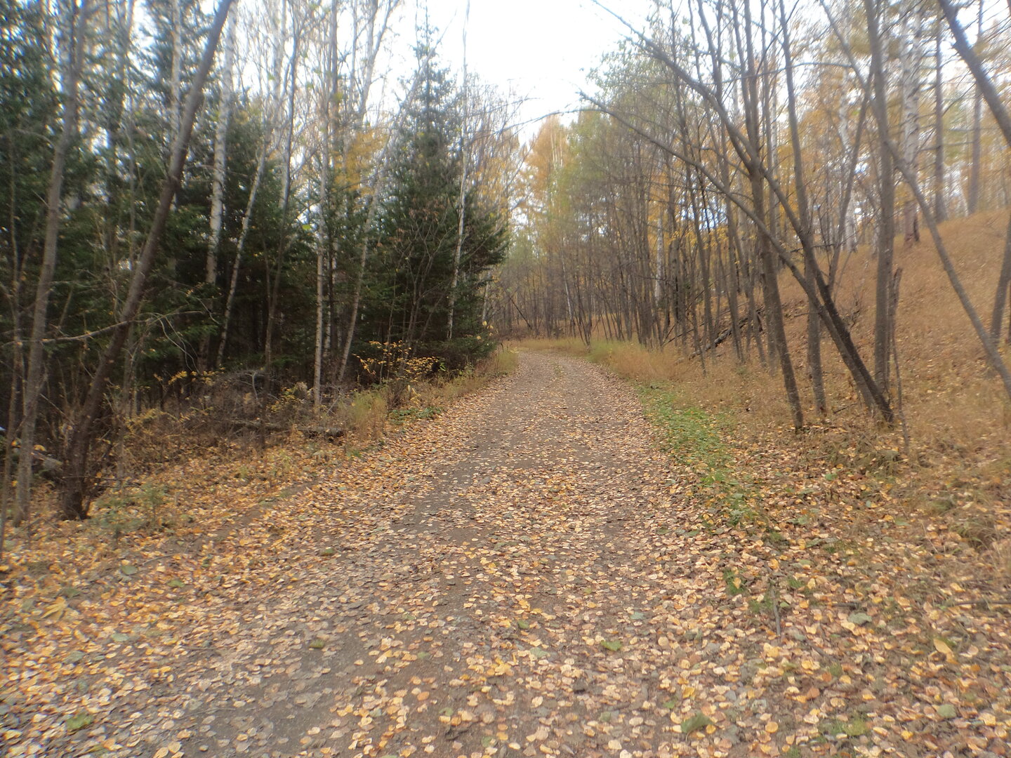 DSC02589.JPG