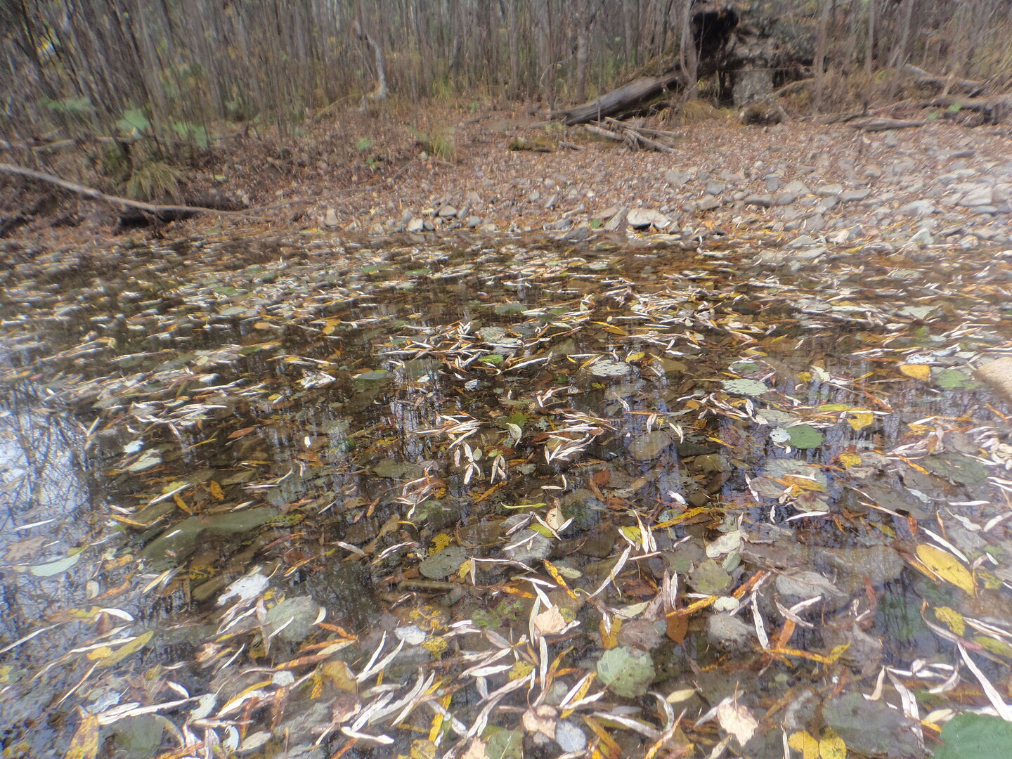 DSC02592.JPG