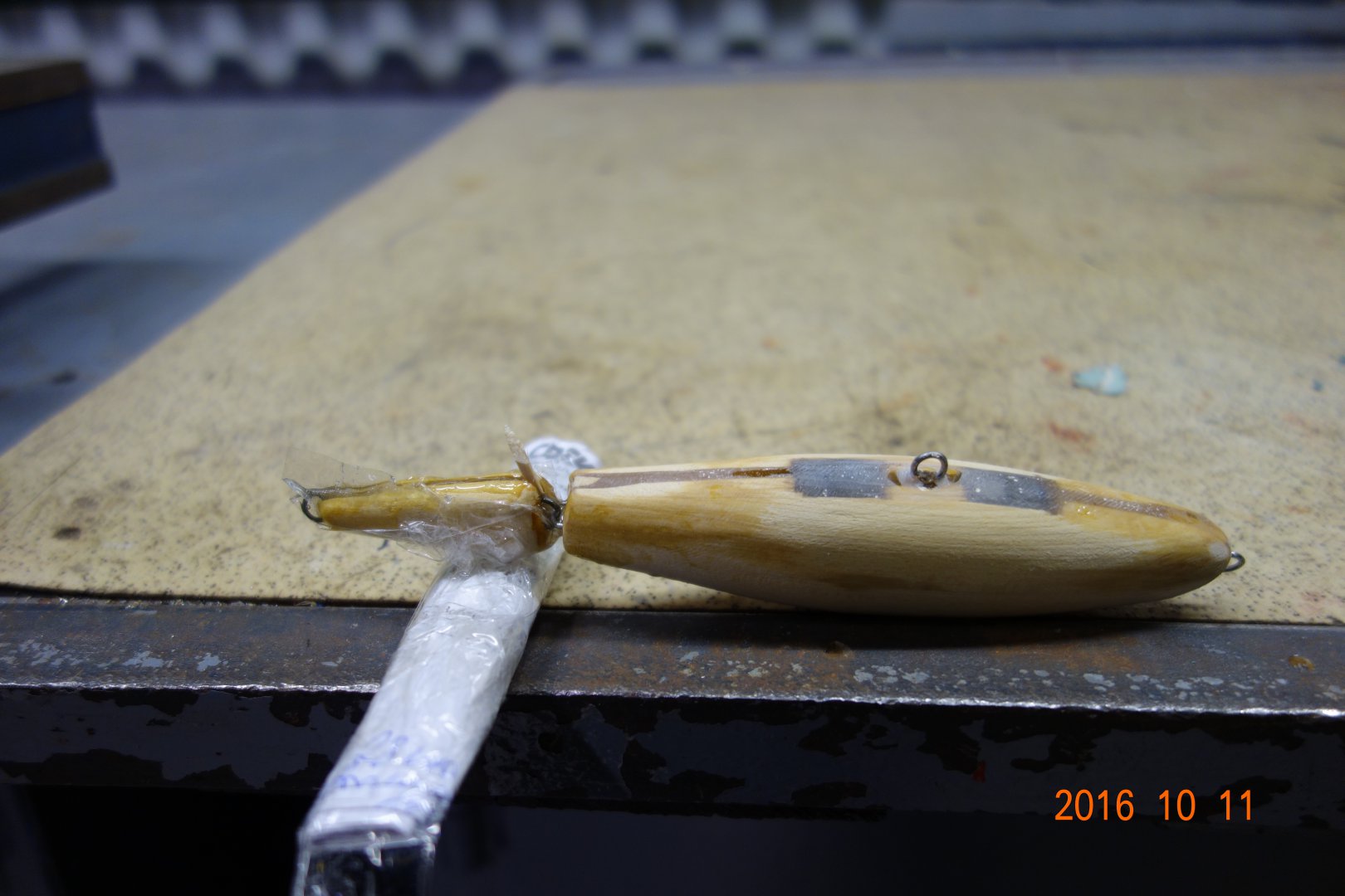 DSC02595.JPG