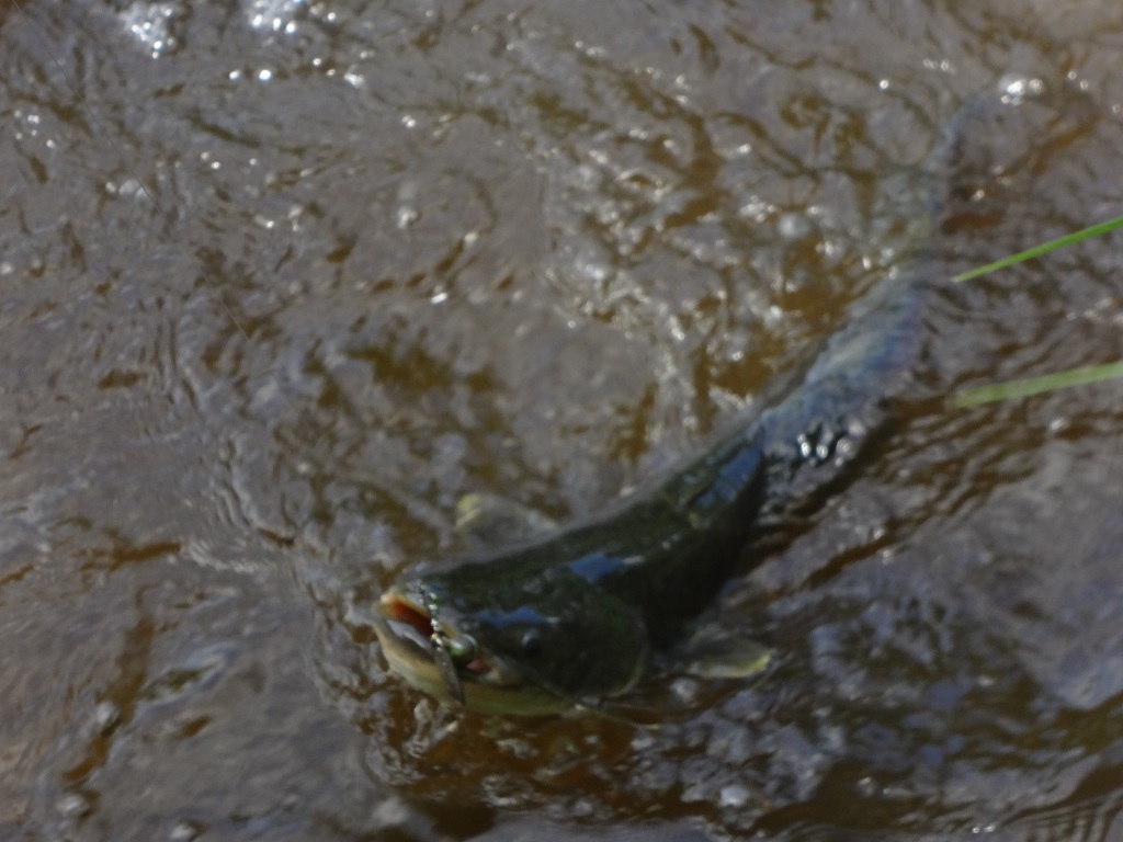 DSC02606.jpg