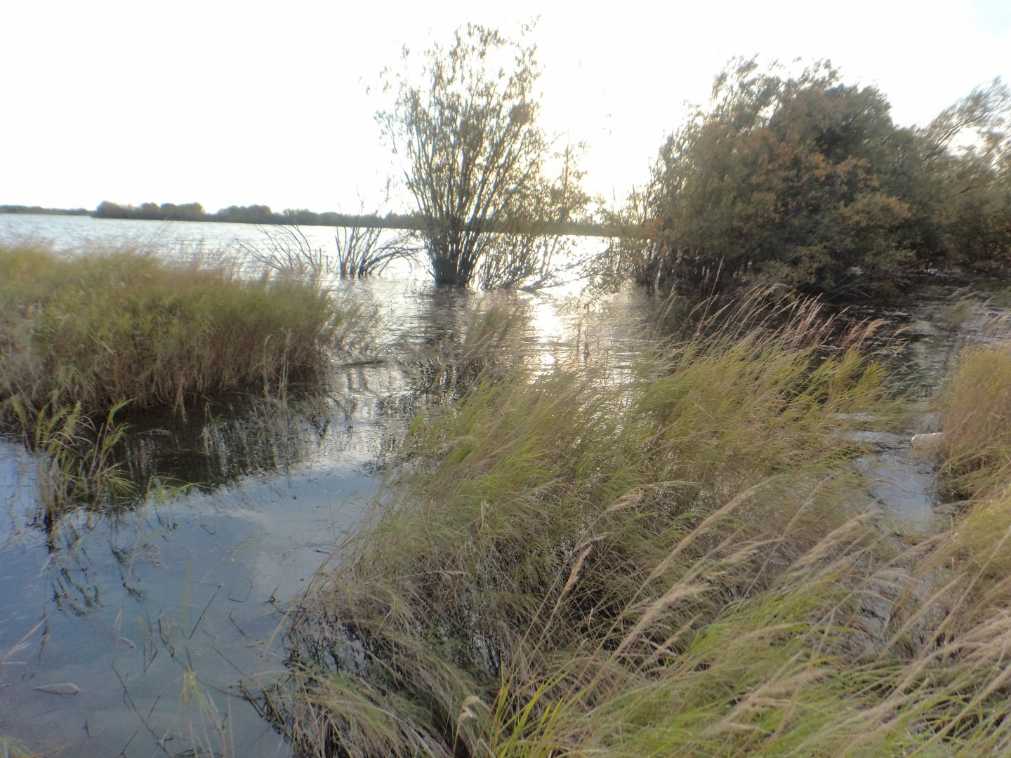 DSC02633.JPG