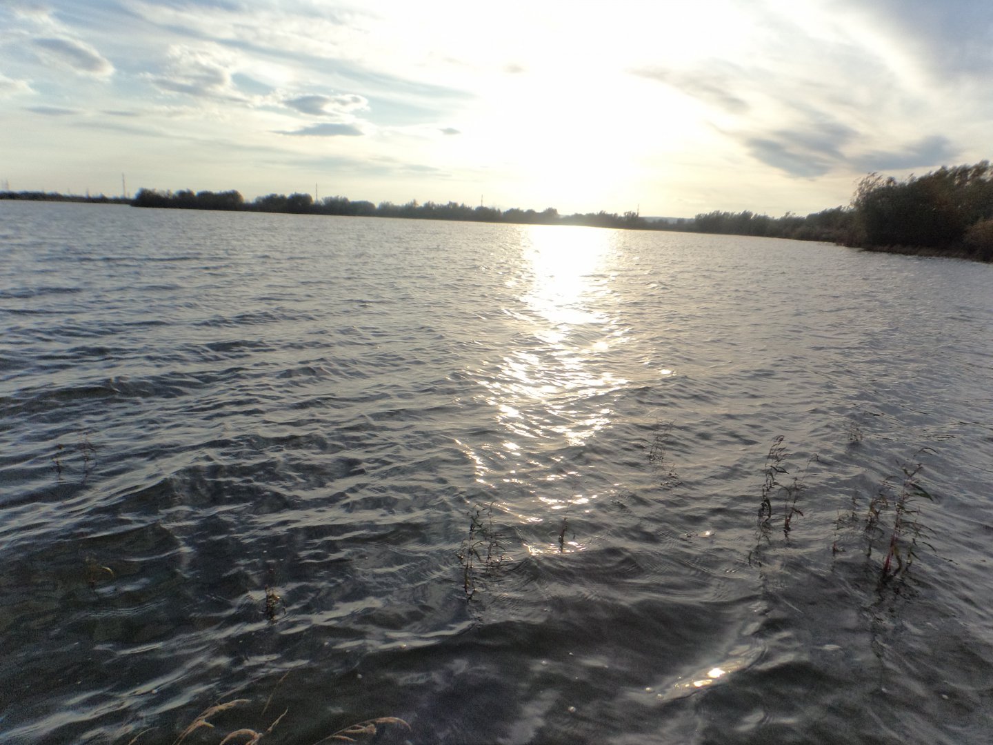 DSC02635.JPG