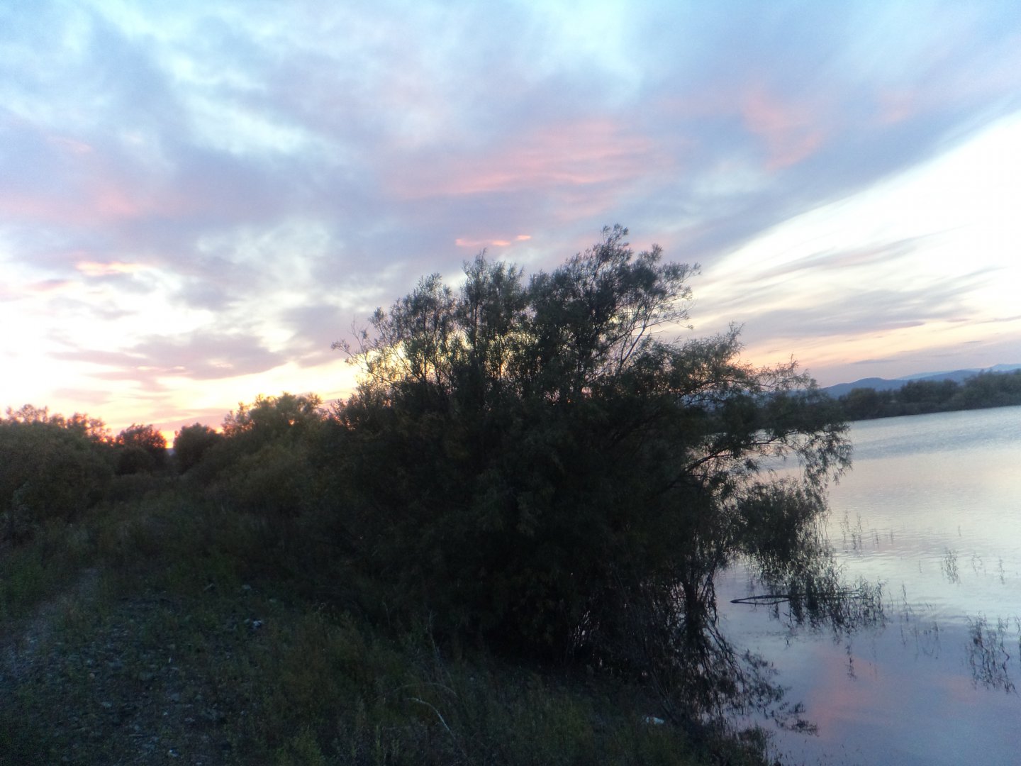 DSC02660.JPG