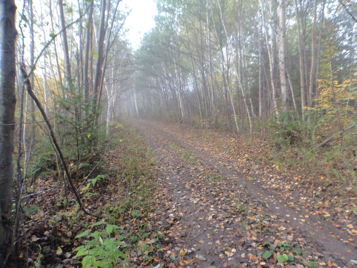 DSC02674.JPG