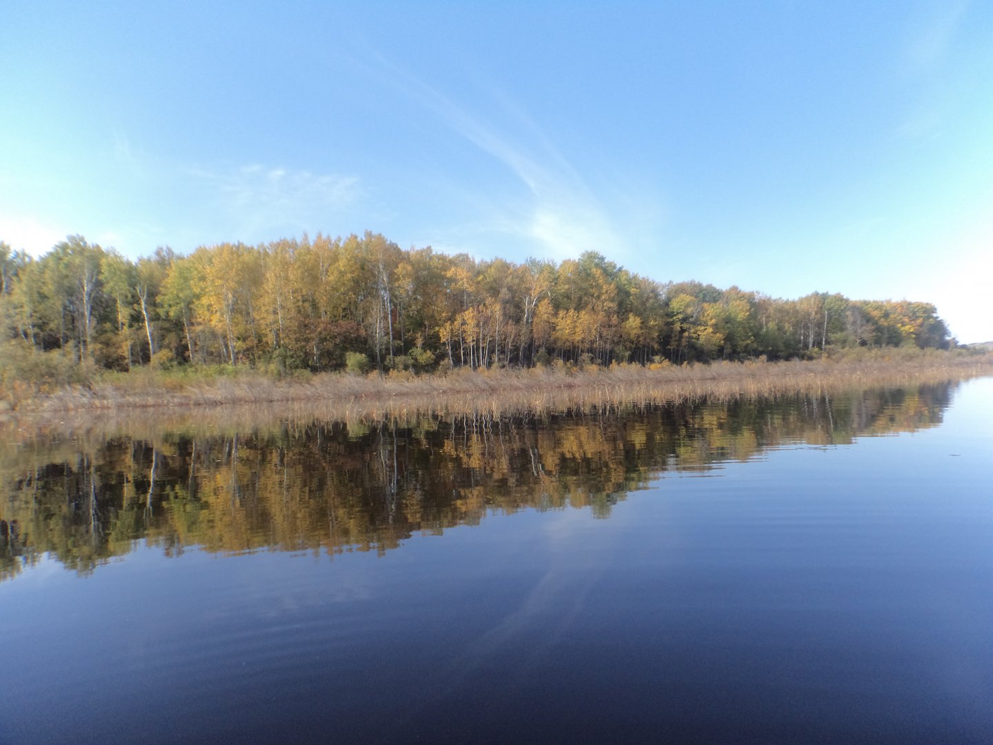 DSC02704.JPG