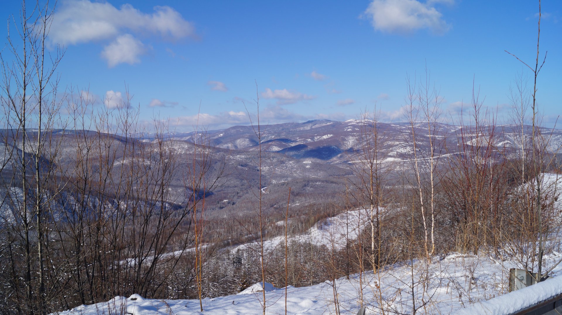 DSC02761.JPG