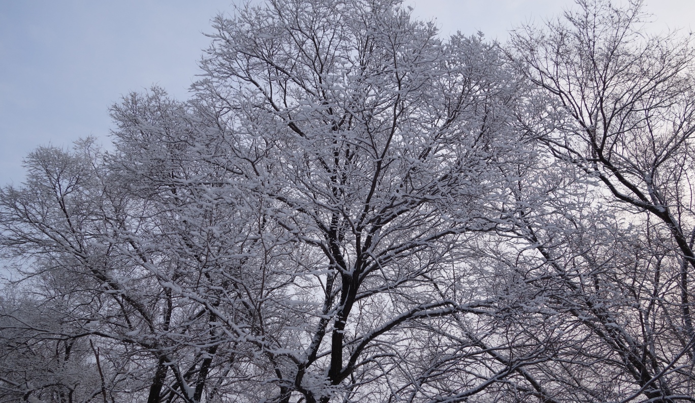 DSC02770.JPG