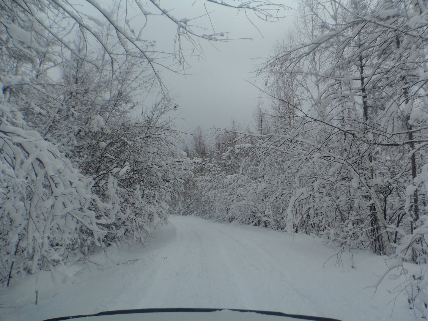 DSC02773.JPG