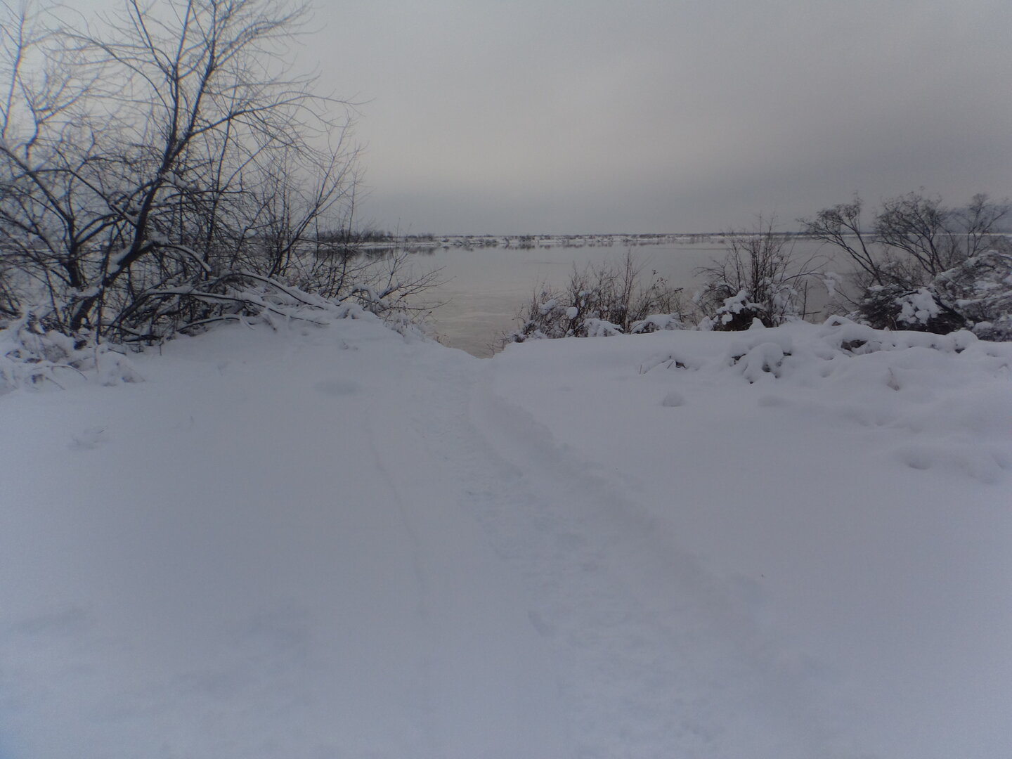 DSC02775.JPG