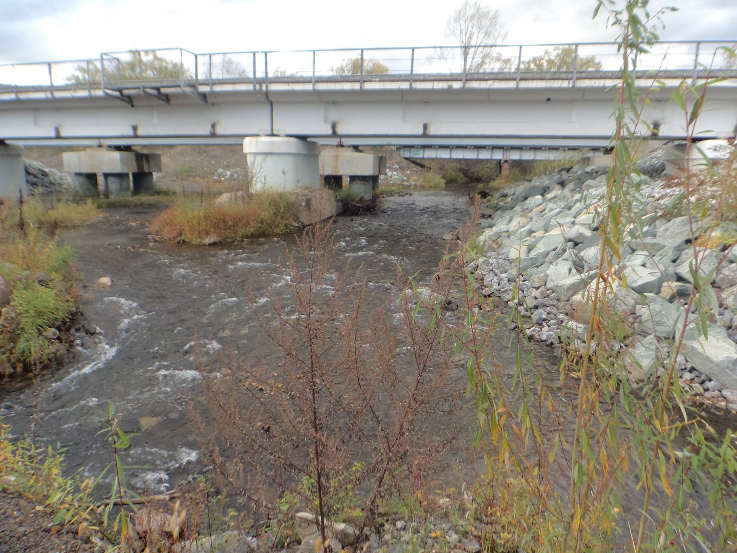 DSC02780.JPG