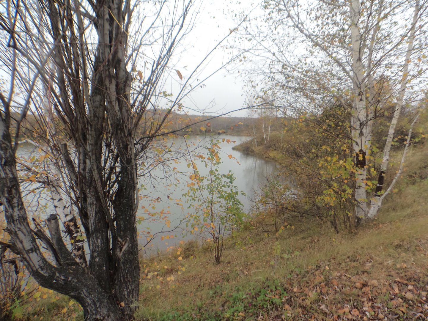 DSC02790.JPG