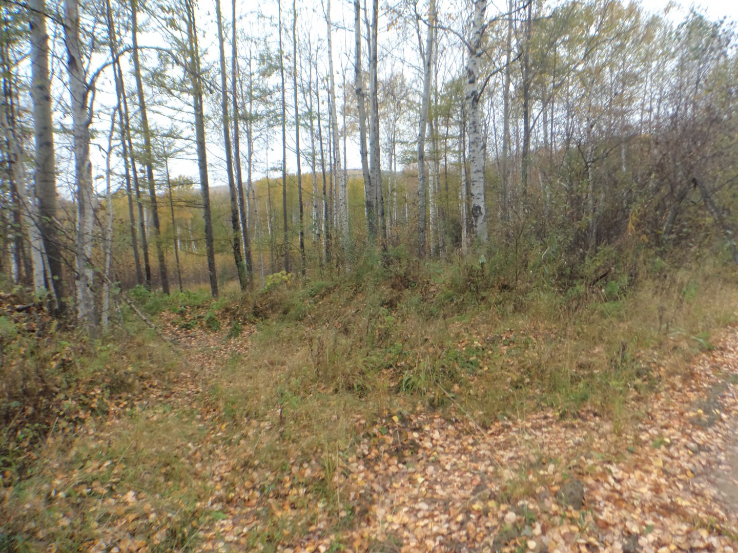 DSC02798.JPG