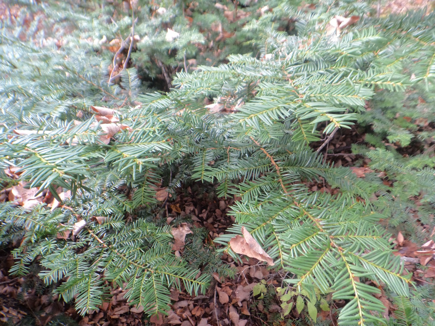 DSC02812.JPG