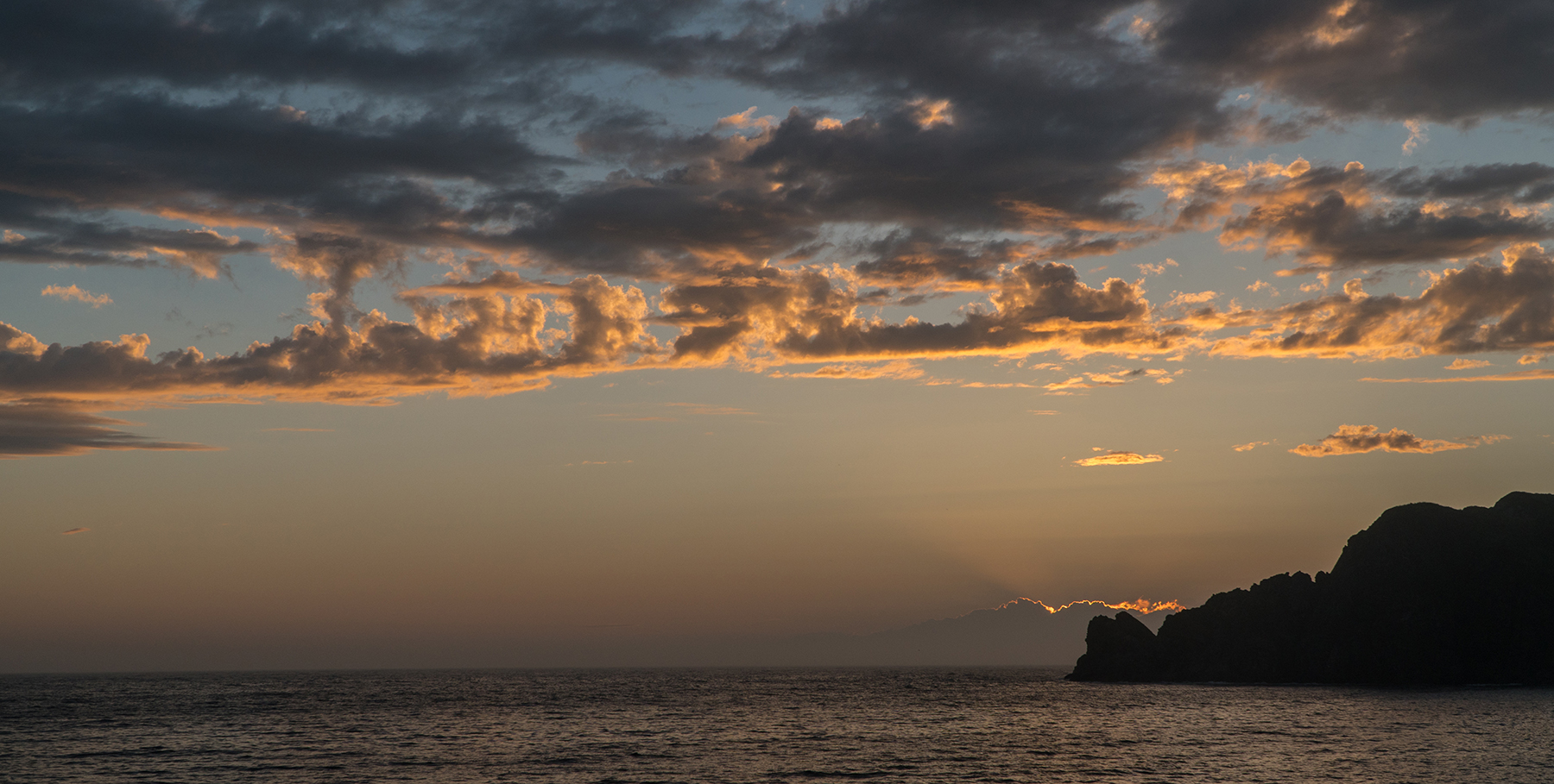 DSC02909.jpg