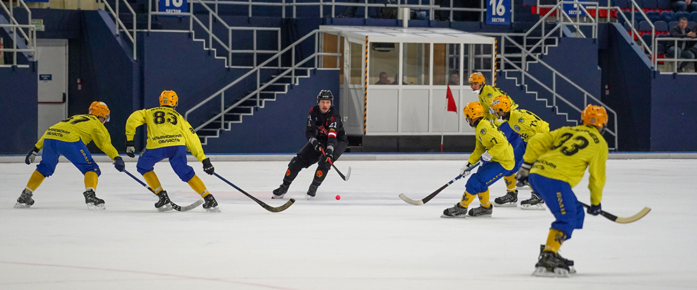 DSC02911.jpg