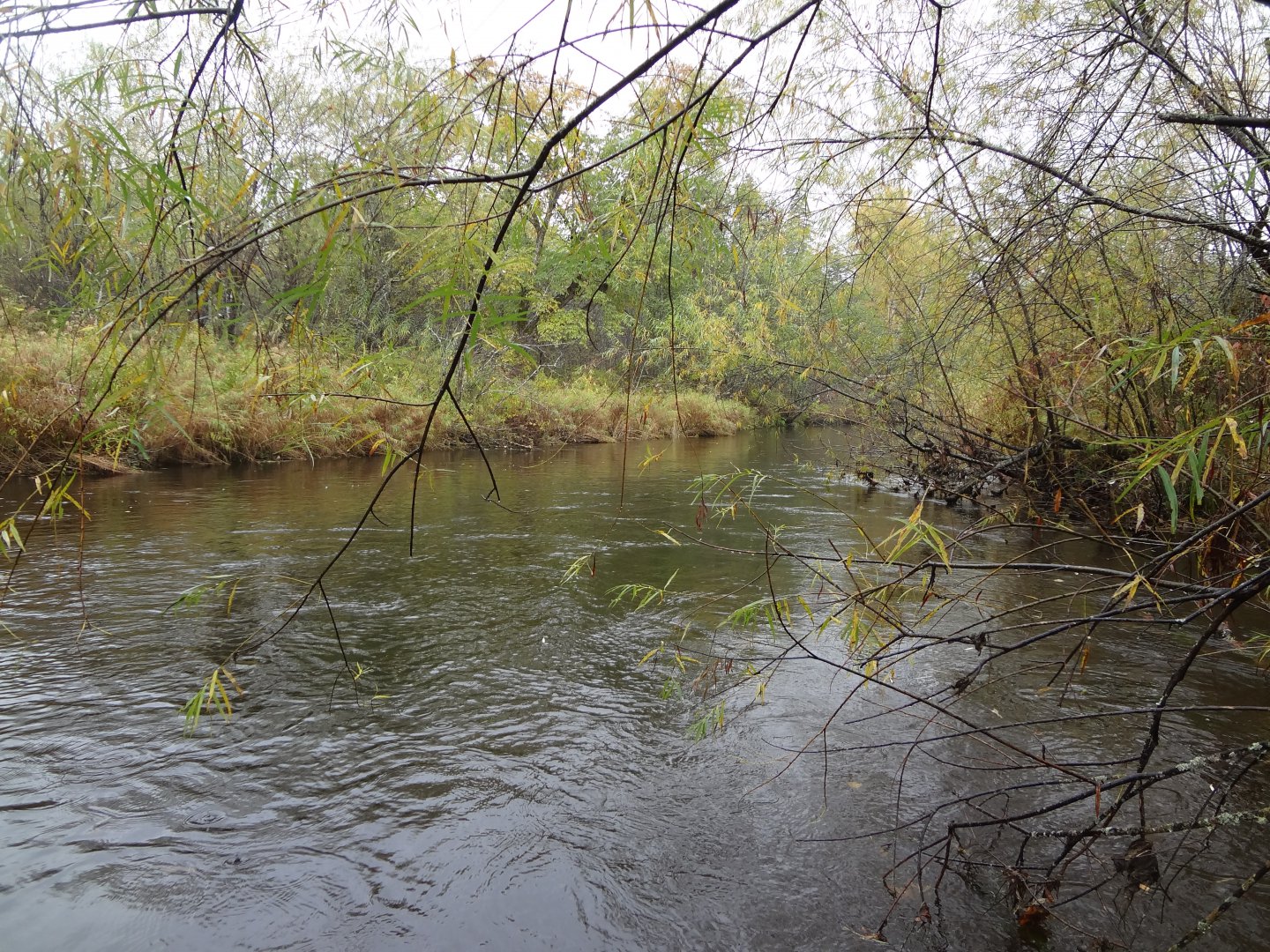 DSC02986.JPG