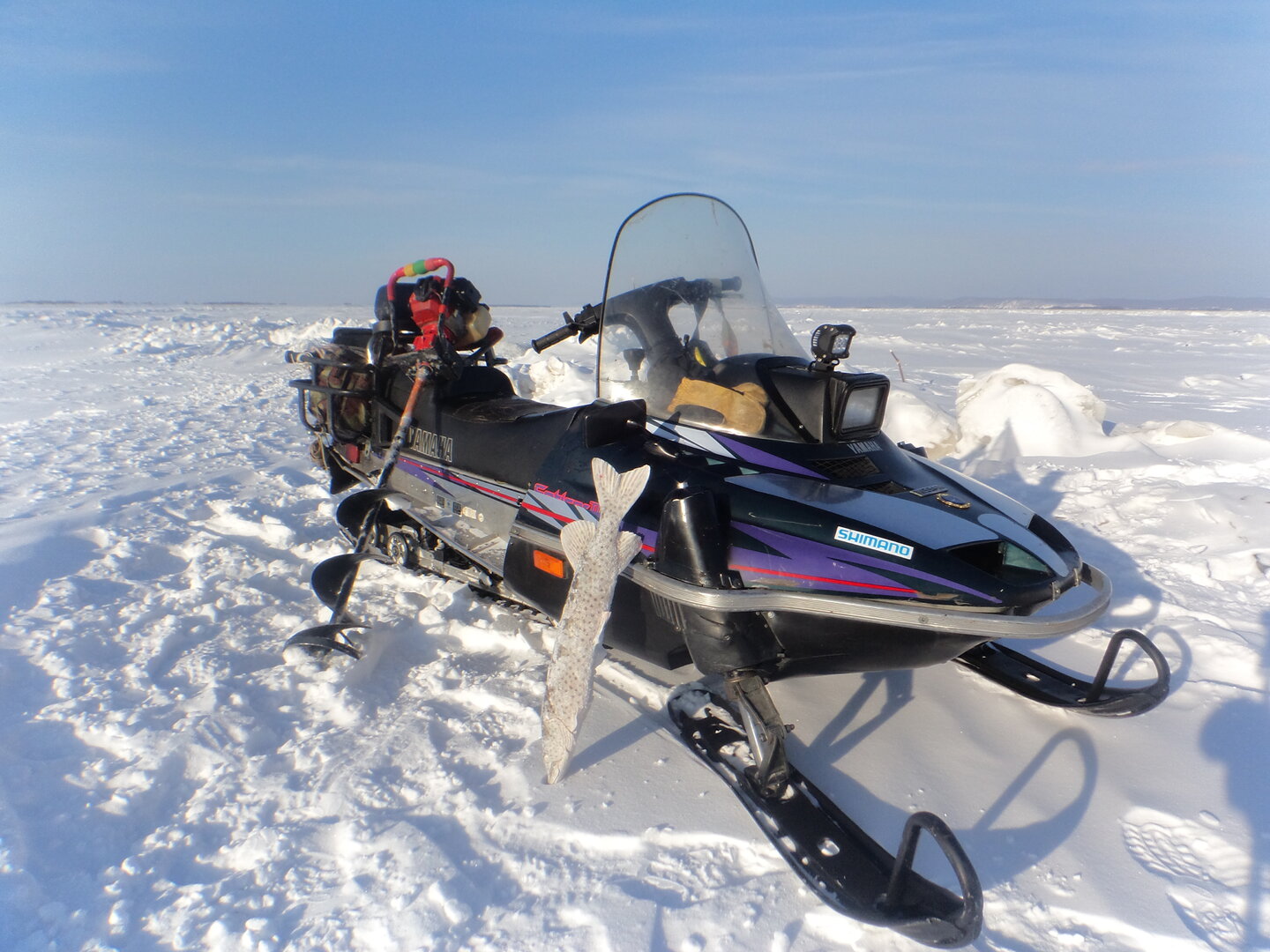 DSC03010.JPG DSC03010.JPG