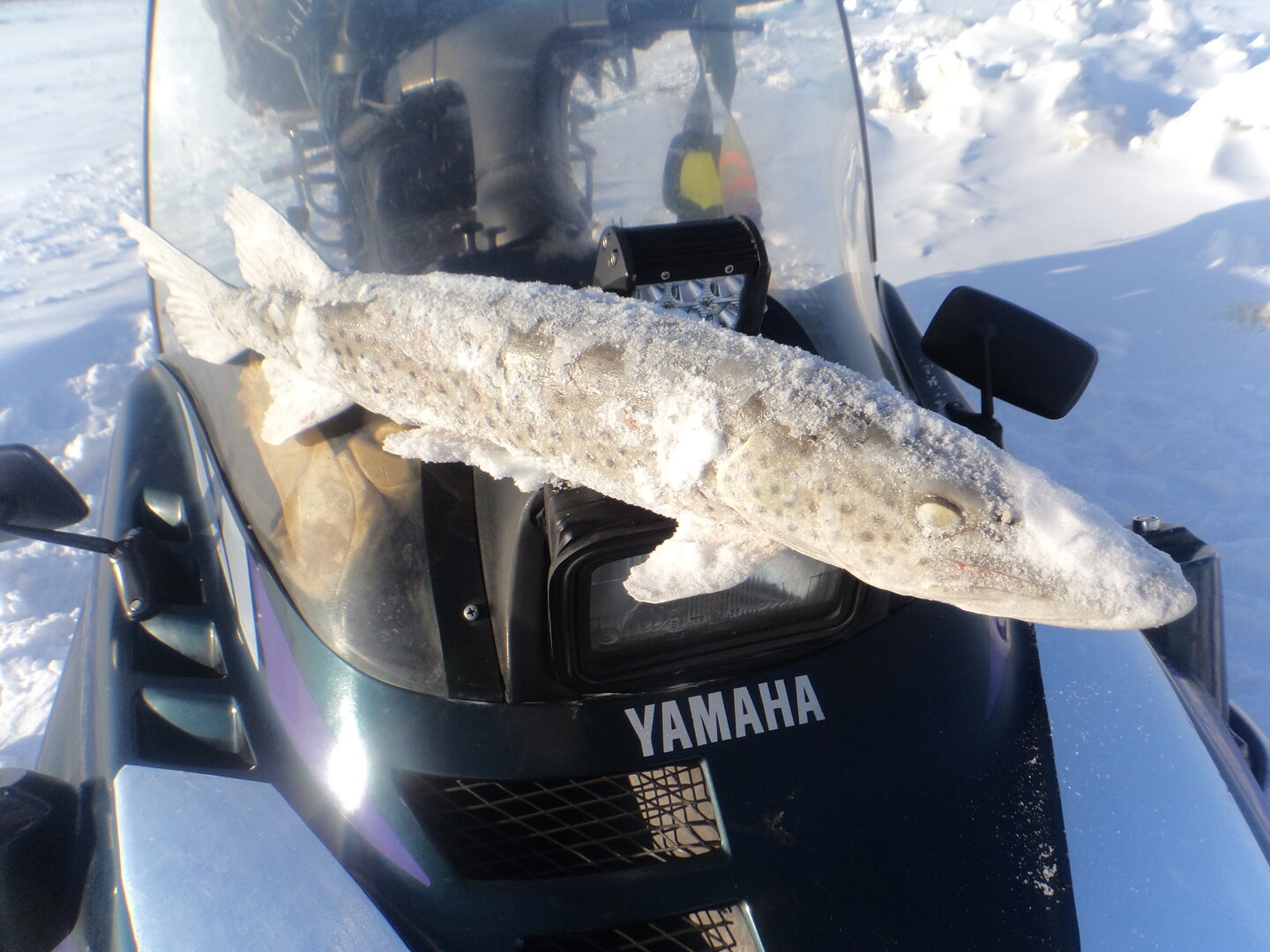 DSC03013.JPG DSC03013.JPG