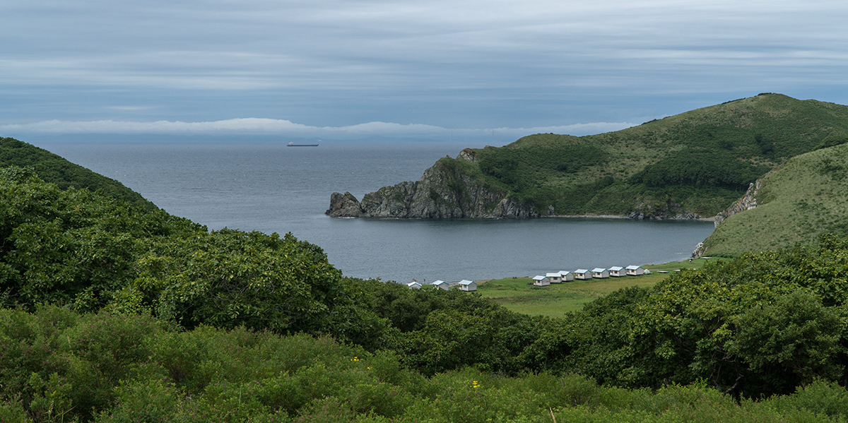 DSC03020_1200.jpg