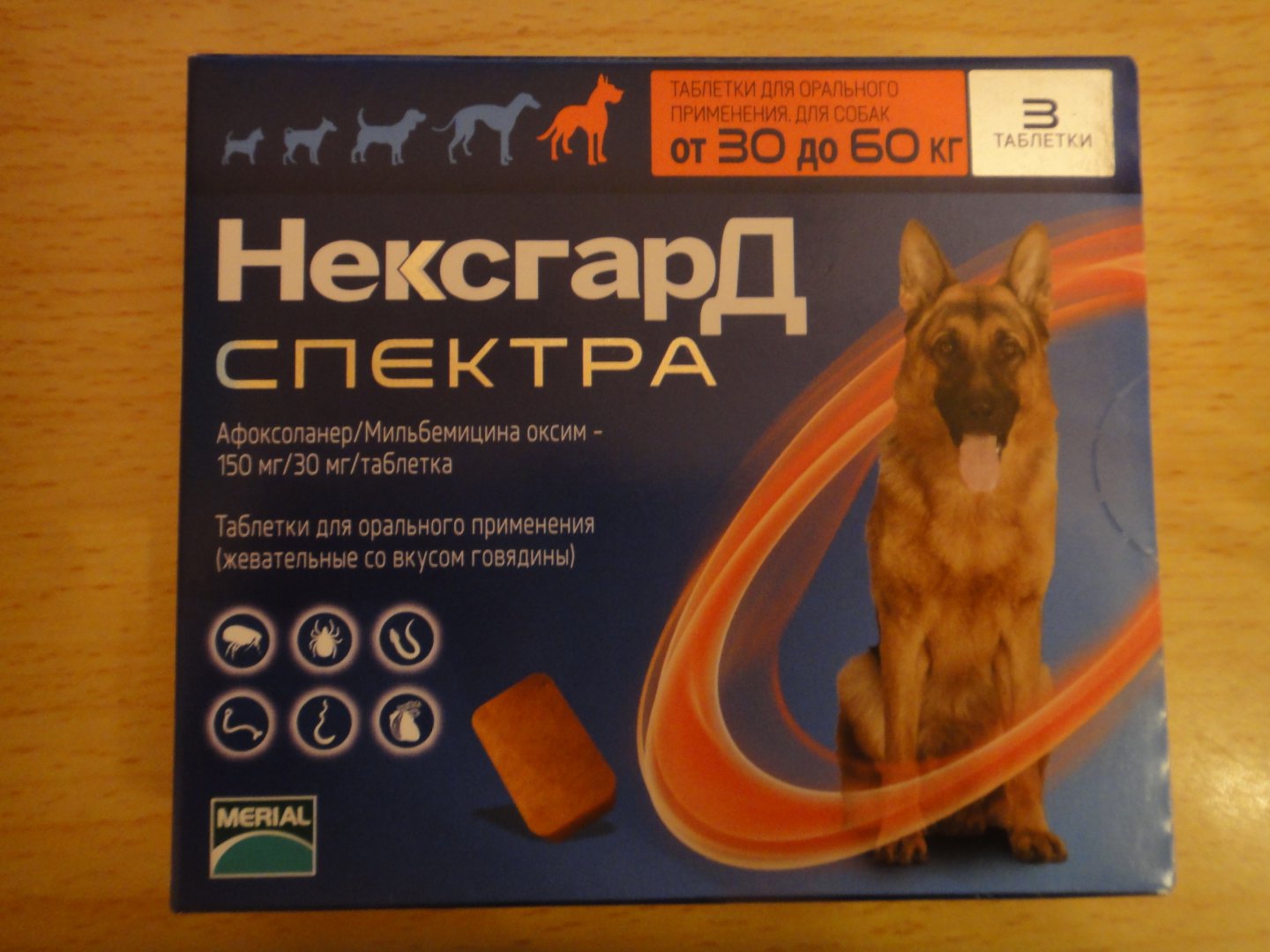 DSC03045.JPG