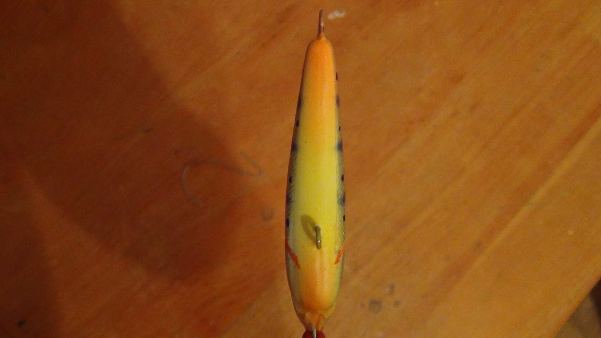DSC03080.JPG