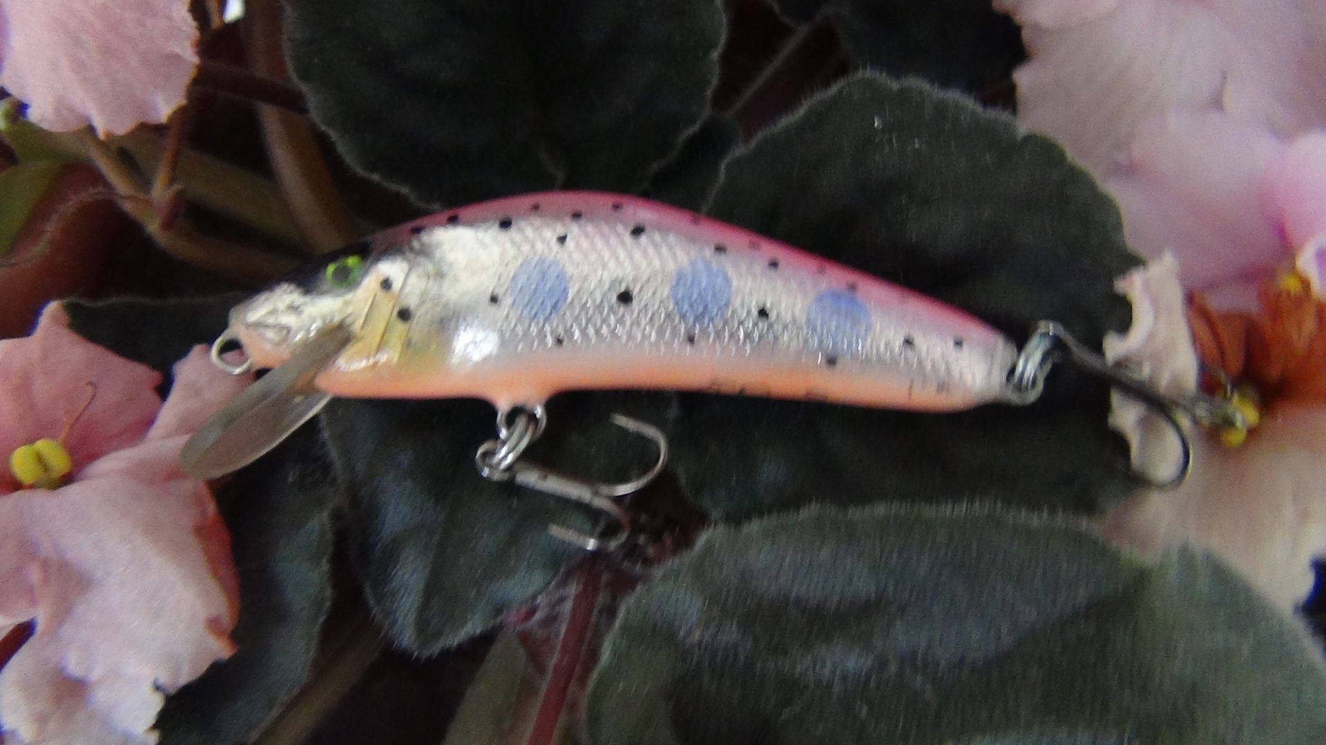 DSC03118.JPG