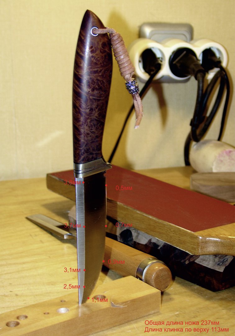 DSC03150-размер.JPG