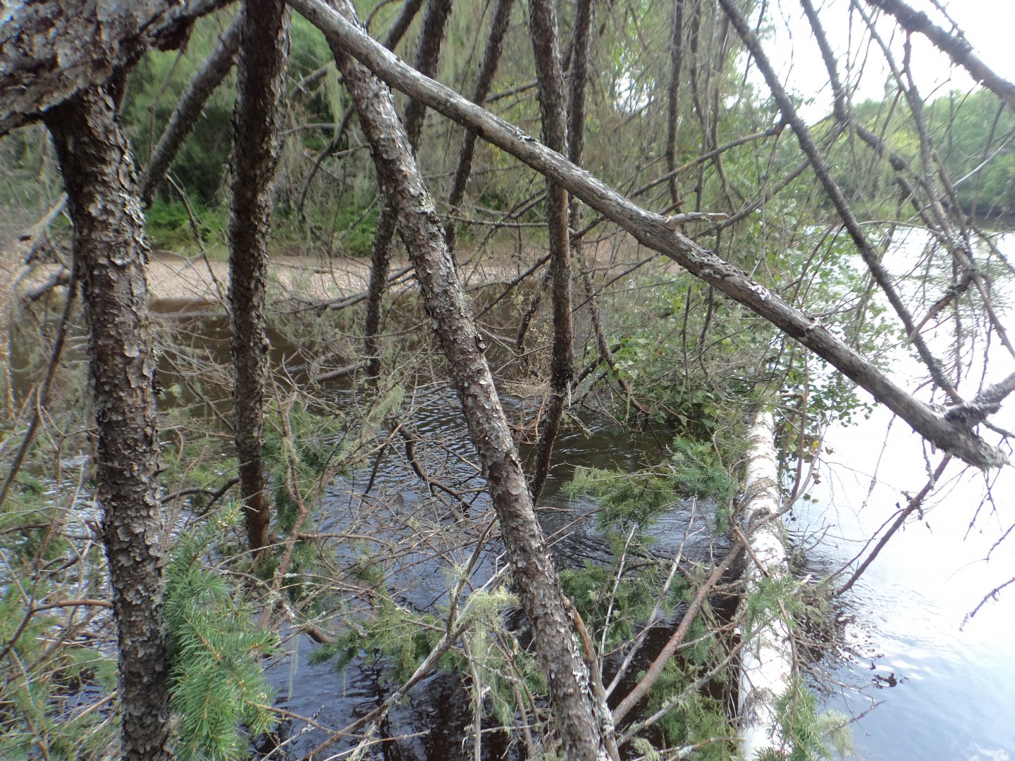 DSC03201.JPG