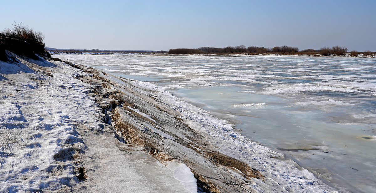DSC03238_1200.jpg