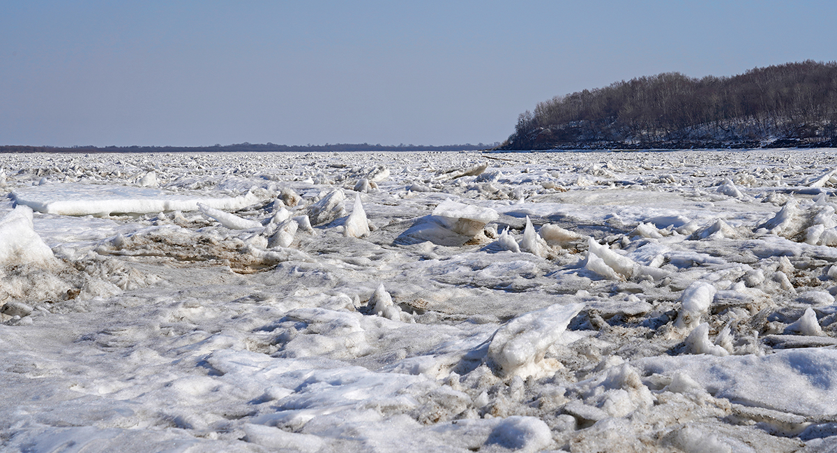 DSC03252_1200.jpg