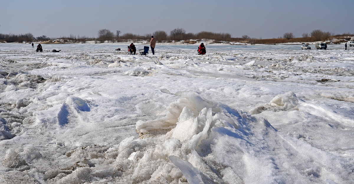 DSC03261_1200.jpg