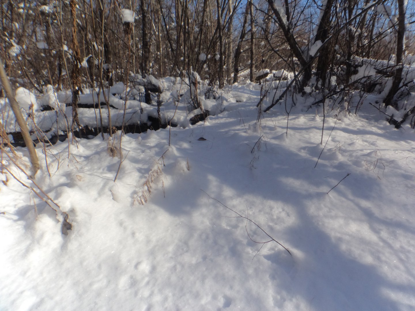 DSC03278.JPG