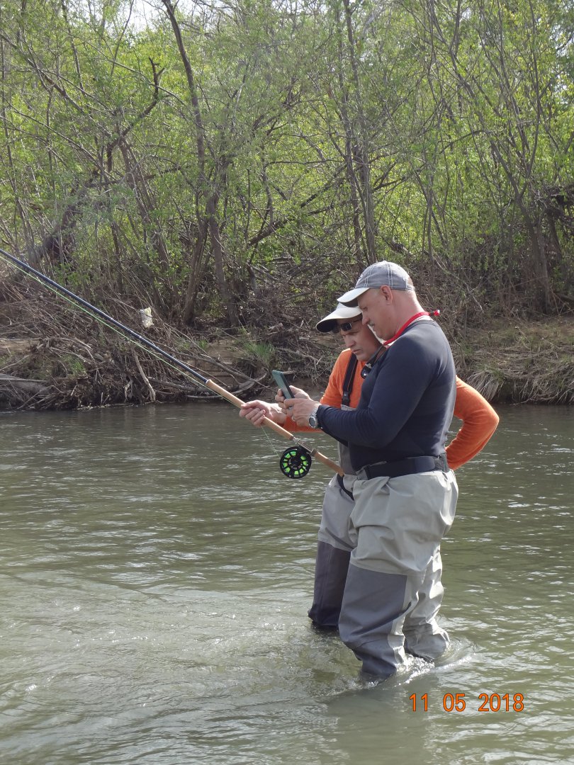 DSC03301.JPG