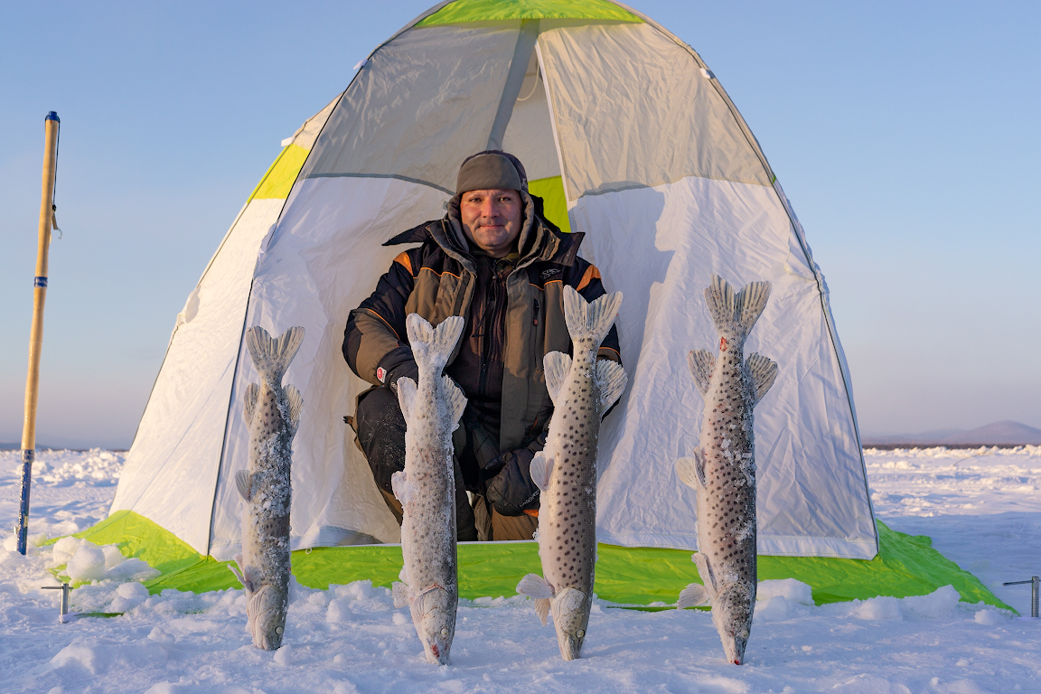 DSC03332.jpg DSC03332.jpg