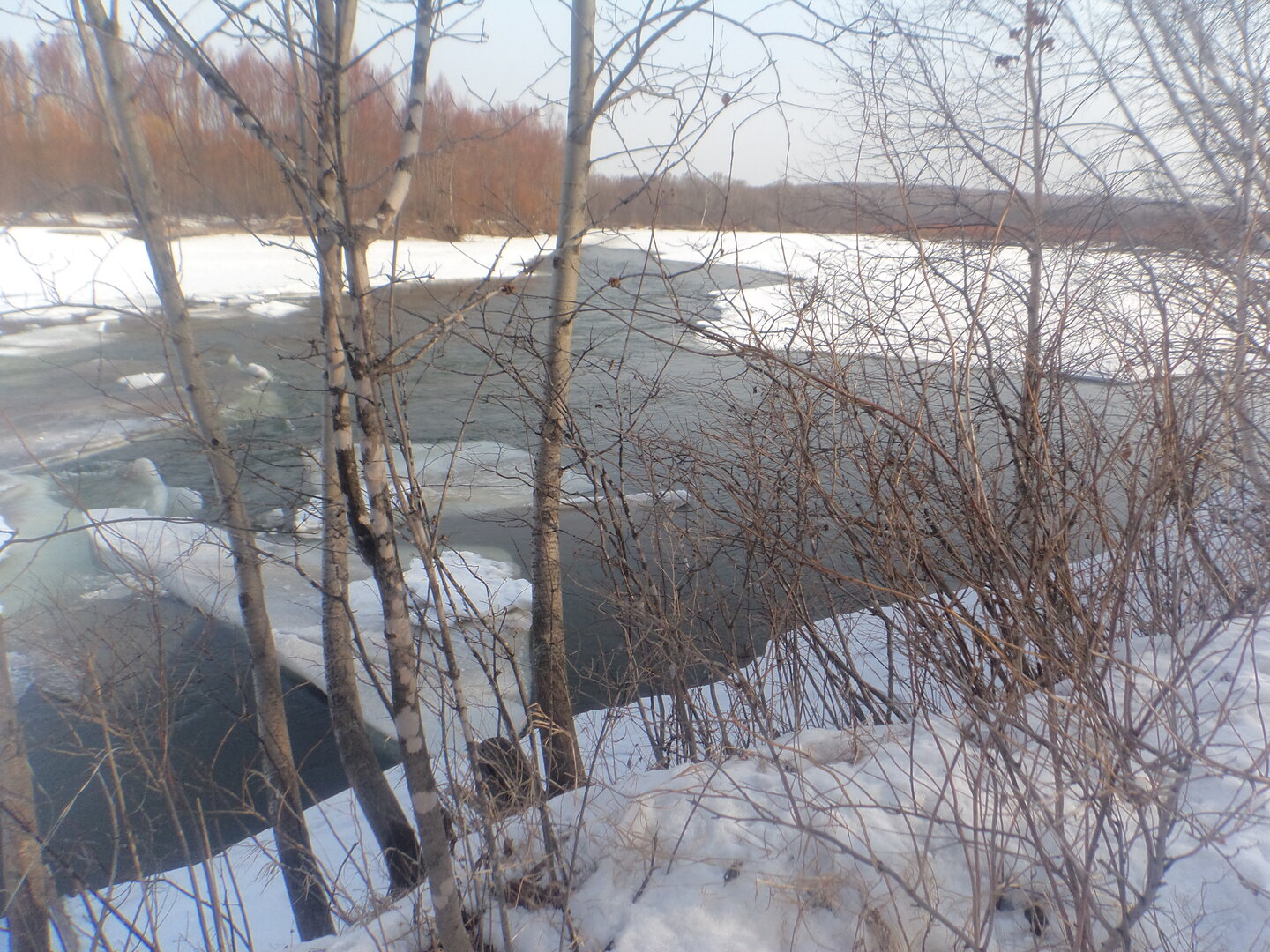 DSC03381.JPG